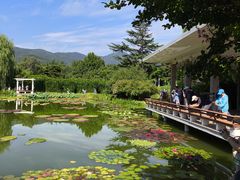 -国家植物园南园