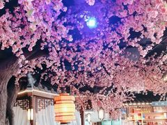 -荷塘秋月·本帮江浙菜(国权路店)