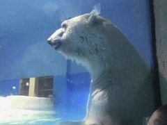 -大连圣亚海洋世界