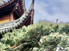-龙华寺