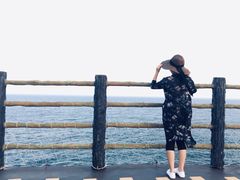 -广东惠东海龟国家级自然保护区
