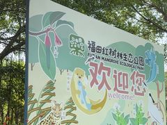 -福田红树林生态公园