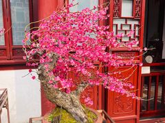 -豫园