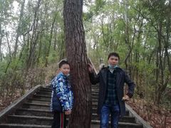 -神光山国家森林公园