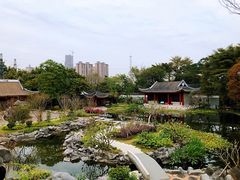 -顺峰山公园
