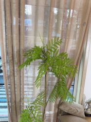 -爱儿美儿童摄影亲子馆(五路居店)