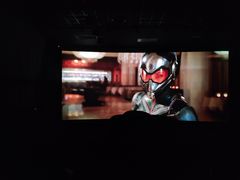 -奥斯卡升龙国际影城(RealD Cinema)