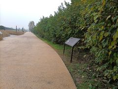 -汉长安城未央宫国家考古遗址公园