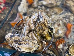 -圣罗巴海鲜自助(黑金店)