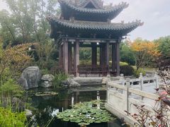 -武汉园博园(武汉自然博物馆)