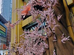-重庆商社大厦