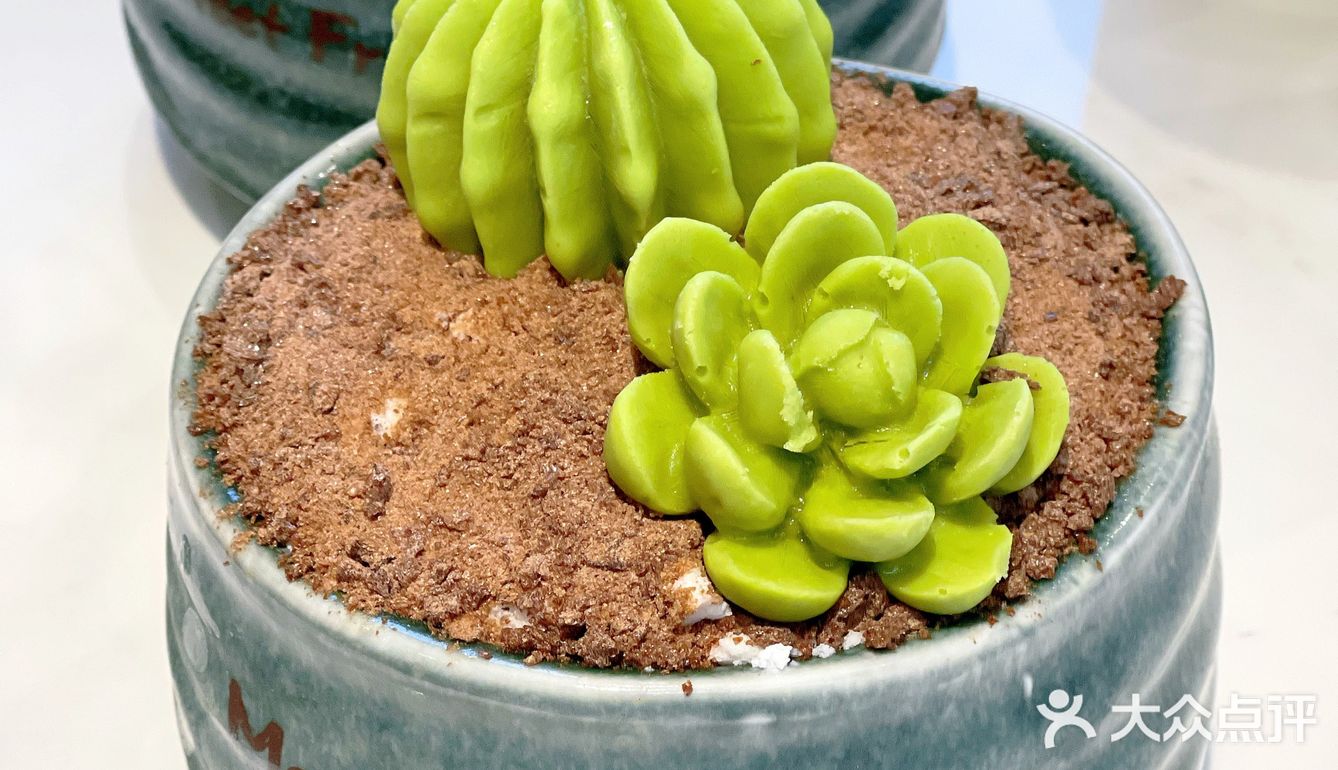 快来鲜芋仙吃多肉新品啦[吐]不会长肉肉的甜品