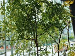 -时间仓(月湖公园店)