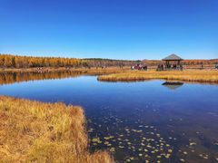 -塞罕坝国家级自然保护区