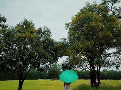 -汉长安城未央宫国家考古遗址公园