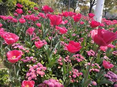 -杭州师范大学(下沙校区)