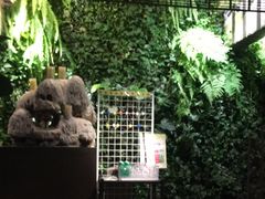 -外婆家(杭州马塍店·杭帮菜名店)