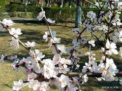 -辽宁大学(崇山校区)