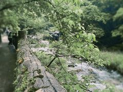 -郧西五龙河风景区