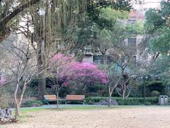 -申粤轩酒楼·三十年粤菜经典(丁香花园店)