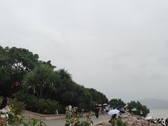 -深圳湾公园(南山区)