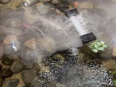 -华夏良子·足道SPA艾灸(翠微店)