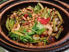 啫啫脆肠-煲煲好(朝阳门店)