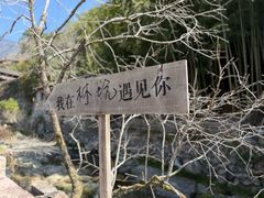 -林坑古村落