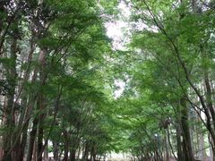 -醍醐寺
