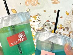 -有喵·猫咖·狗咖·30几只猫10只小狗(岗厦店)