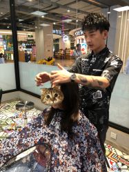 -Sugar Hair Salon