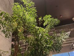 -农畉LONFOOD(万象天地店)