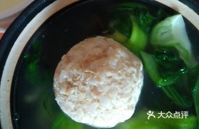 Cabbage Root Lion's Head