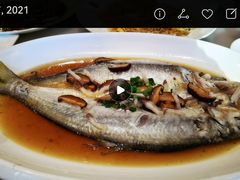 -华盛丰温州大排档(东三环南路店)