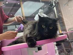 -FAELING PETS美天灵宠物(富力广场店)