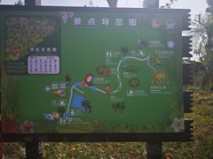 -海南热带野生动植物园