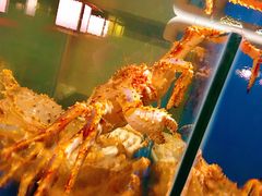 -綱元·海鲜豆捞(明州里店)