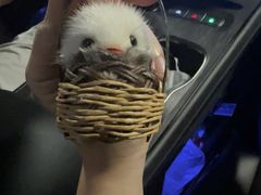 -手工艺活态馆