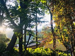 -杭州半山国家森林公园