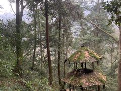 -青城山