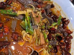 四川毛血旺-小贝壳酒楼(经九路店)