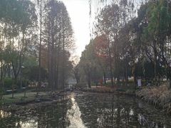 -陈家山荷花公园