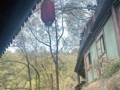 -巴倒烫陆派重庆火锅(南山店)