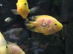 -苏州海洋馆