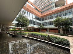 -香港大学