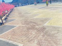 -长影世纪城