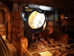 -木乃伊复仇过山车