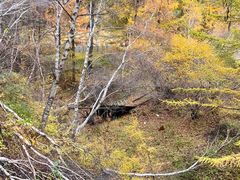 -苏木山森林公园