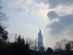 -紫峰大厦