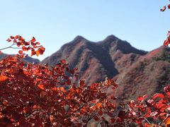 -周口店坡峰岭风景区